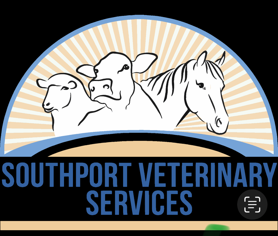 Southport01 Logo